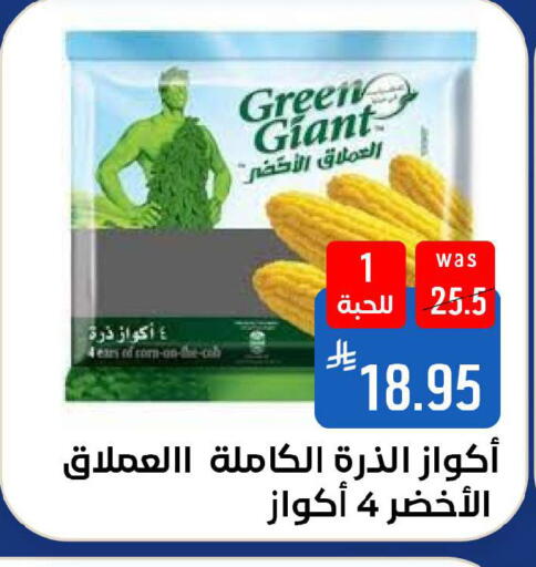 available at شبرا الطائف in مملكة العربية السعودية, السعودية, سعودية - الطائف