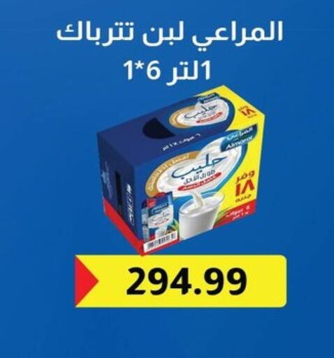 available at Hyper El Qudse in Egypt - Cairo