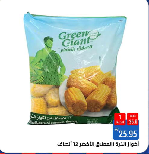 available at شبرا الطائف in مملكة العربية السعودية, السعودية, سعودية - الطائف