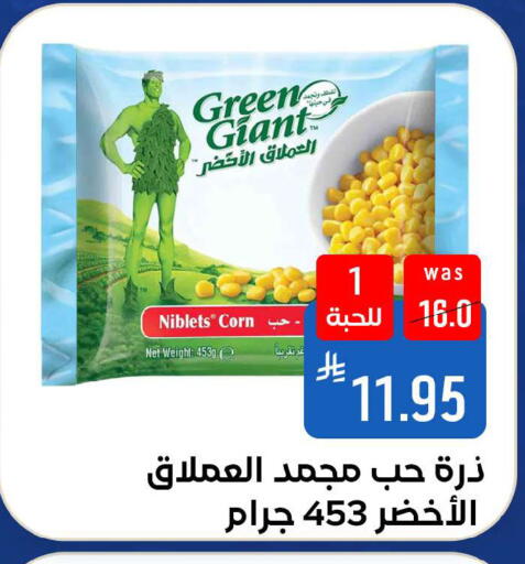 available at شبرا الطائف in مملكة العربية السعودية, السعودية, سعودية - الطائف