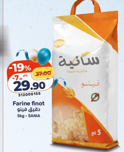 available at Kazyon  in Egypt - Cairo