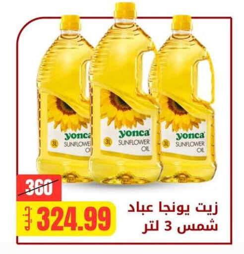 available at Allosh ElBazaar in Egypt - Cairo