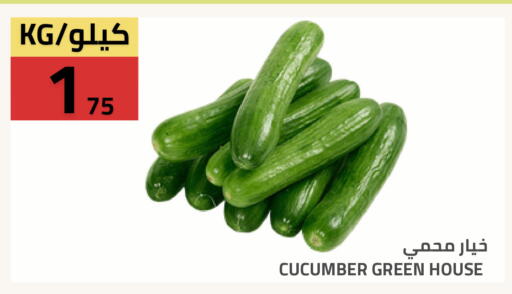 Cucumber available at Astra Markets in KSA, Saudi Arabia, Saudi - Tabuk