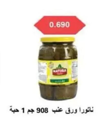 available at جمعية السالمية العاونية in الكويت - مدينة الكويت