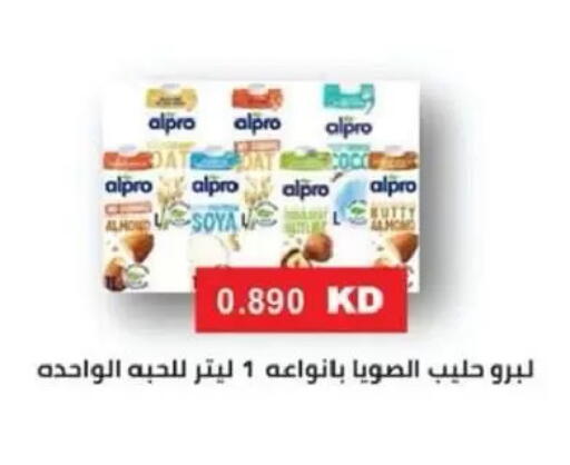 available at جمعية السالمية العاونية in الكويت - مدينة الكويت
