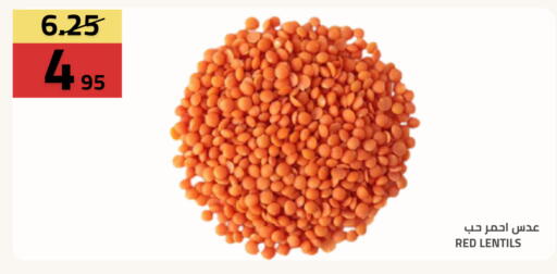 available at Astra Markets in KSA, Saudi Arabia, Saudi - Tabuk