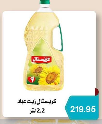 available at Negmet Heliopolis Hyper Gamal Salama in Egypt - Cairo