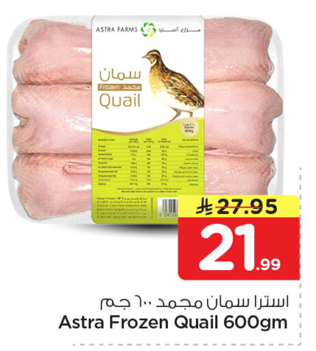 available at نستو in مملكة العربية السعودية, السعودية, سعودية - المجمعة