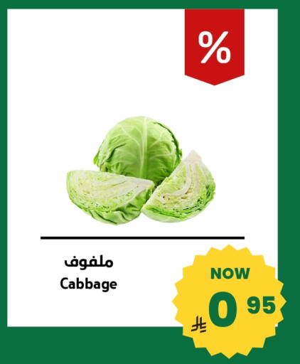 Cabbage available at Antara World in KSA, Saudi Arabia, Saudi - Khamis Mushait