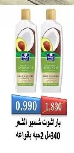 Avocado available at Fahd Al Ahmad Cooperative Society in Kuwait - Ahmadi Governorate