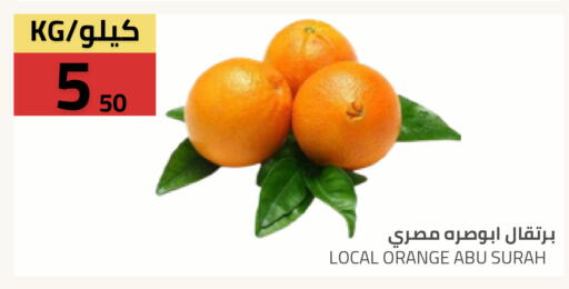 Orange available at Astra Markets in KSA, Saudi Arabia, Saudi - Tabuk