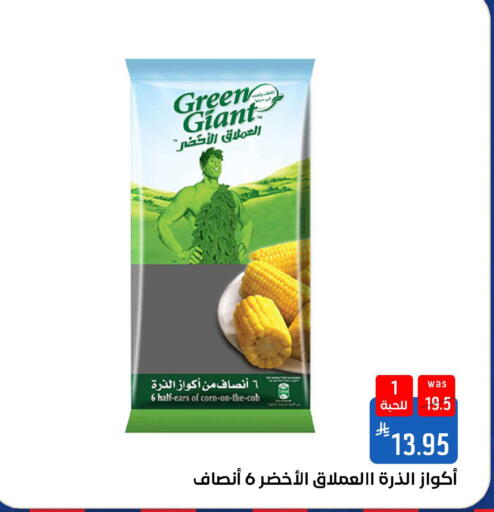 available at شبرا الطائف in مملكة العربية السعودية, السعودية, سعودية - الطائف