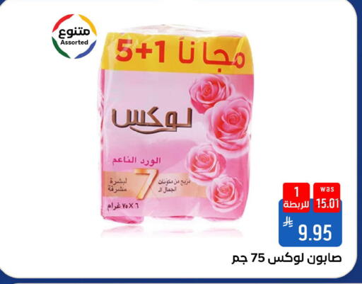 available at شبرا الطائف in مملكة العربية السعودية, السعودية, سعودية - الطائف