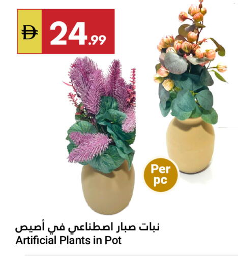 available at جراند الإمارات للتسوق in الإمارات العربية المتحدة , الامارات - أبو ظبي
