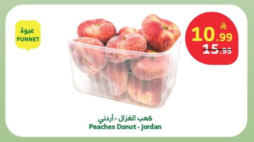 from Jordan available at الراية in مملكة العربية السعودية, السعودية, سعودية - خميس مشيط