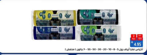 available at شبرا الطائف in مملكة العربية السعودية, السعودية, سعودية - الطائف