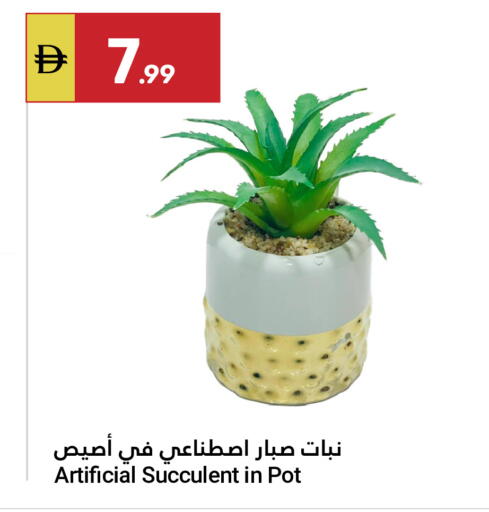 available at جراند الإمارات للتسوق in الإمارات العربية المتحدة , الامارات - أبو ظبي