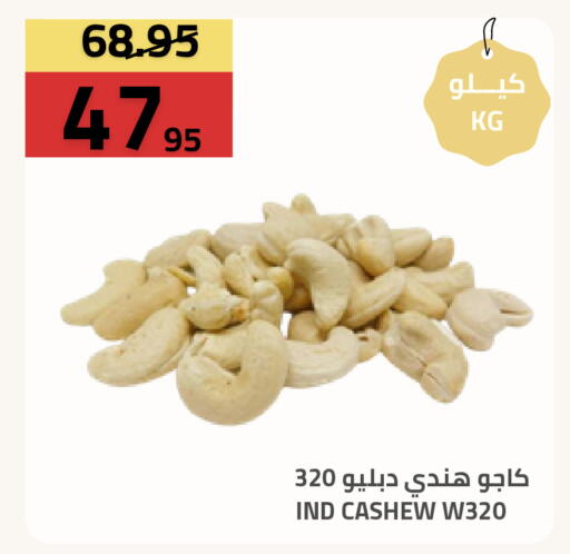 available at Astra Markets in KSA, Saudi Arabia, Saudi - Tabuk
