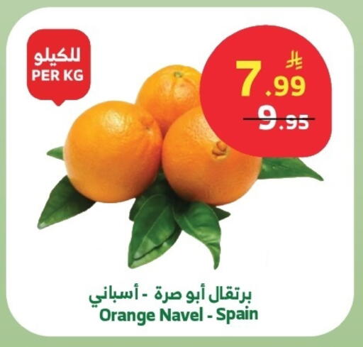 Orange from Spain available at Al Raya in KSA, Saudi Arabia, Saudi - Khamis Mushait