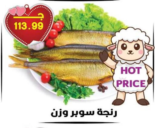 available at هايبر القدس in Egypt - القاهرة
