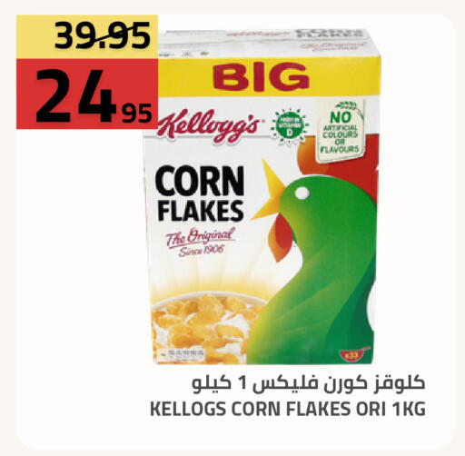 available at Astra Markets in KSA, Saudi Arabia, Saudi - Tabuk