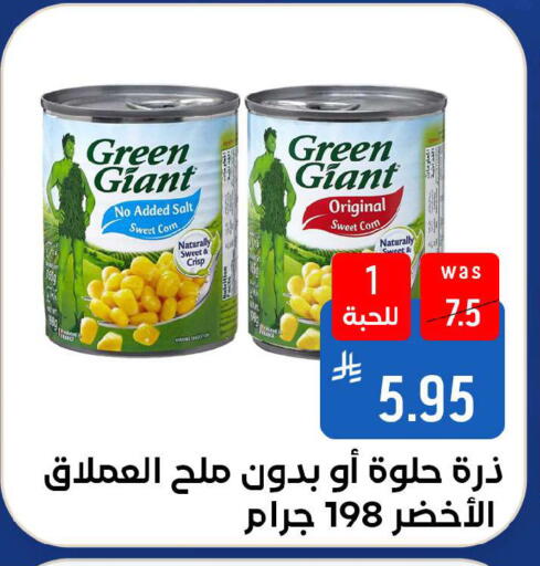available at شبرا الطائف in مملكة العربية السعودية, السعودية, سعودية - الطائف