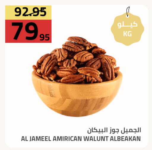 available at Astra Markets in KSA, Saudi Arabia, Saudi - Tabuk