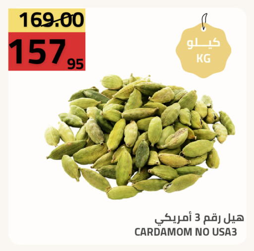 Cardamom available at أسواق أسترا in مملكة العربية السعودية, السعودية, سعودية - تبوك