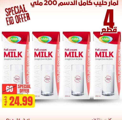 available at Allosh ElBazaar in Egypt - Cairo