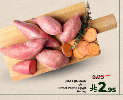 Sweet Potato from Egypt available at LULU Hypermarket in KSA, Saudi Arabia, Saudi - Al Khobar