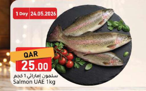 available at دانا ماركت in قطر - الخور