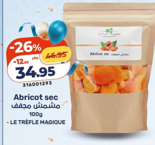 available at Kazyon  in Egypt - Cairo