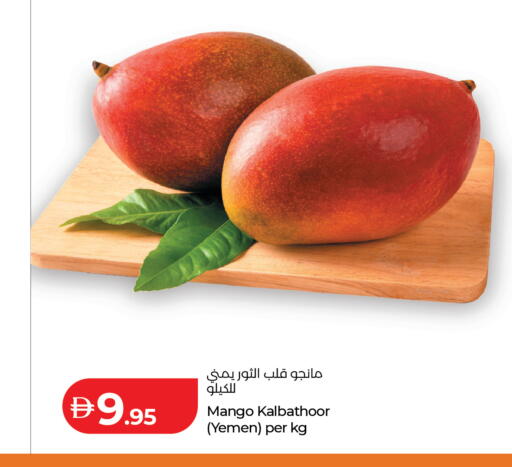 Mango from Yemen available at Lulu Hypermarket in UAE - Dubai