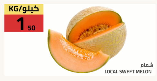 Melon available at Astra Markets in KSA, Saudi Arabia, Saudi - Tabuk