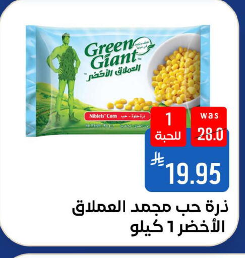 available at شبرا الطائف in مملكة العربية السعودية, السعودية, سعودية - الطائف