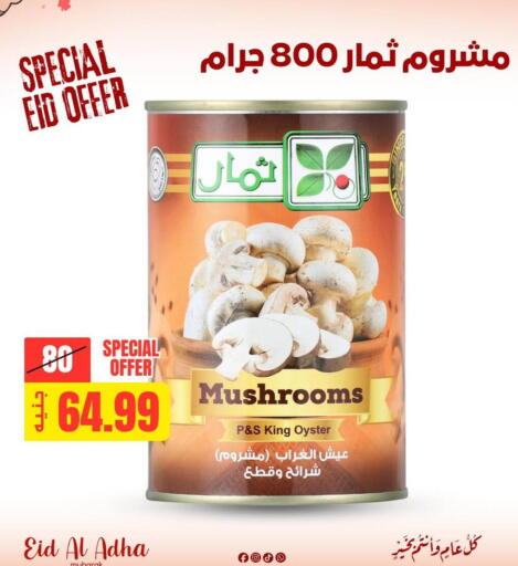available at Allosh ElBazaar in Egypt - Cairo