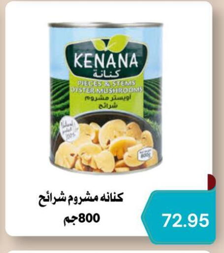 available at نجمة هليوبوليس جمال سلامة in Egypt - القاهرة