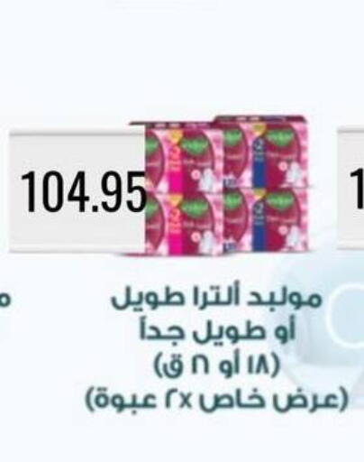 available at Negmet Heliopolis Hyper Gamal Salama in Egypt - Cairo