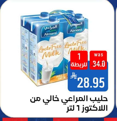 available at شبرا الطائف in مملكة العربية السعودية, السعودية, سعودية - الطائف