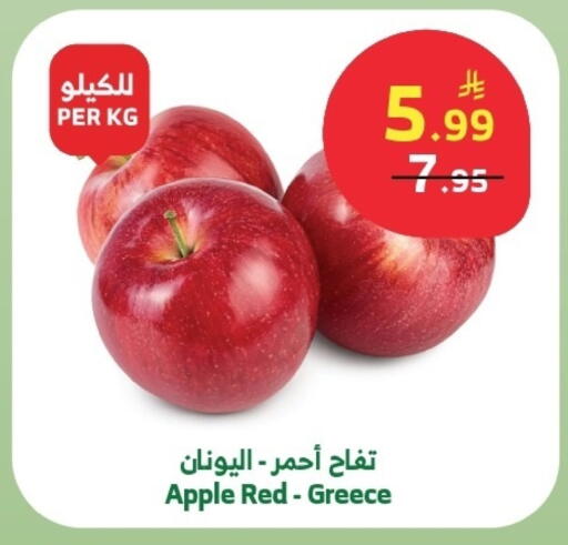 Apple from Greece available at الراية in مملكة العربية السعودية, السعودية, سعودية - خميس مشيط