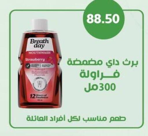 Strawberry available at Negmet Heliopolis Hyper Gamal Salama in Egypt - Cairo