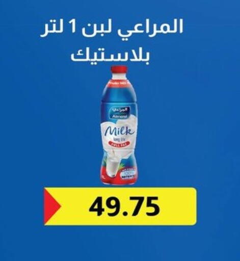 available at Hyper El Qudse in Egypt - Cairo