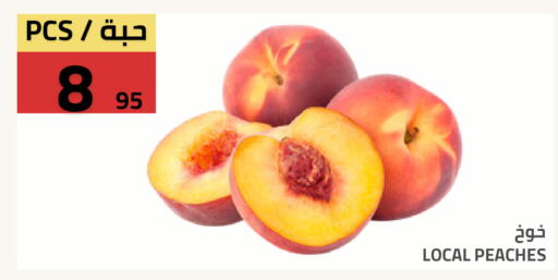 available at Astra Markets in KSA, Saudi Arabia, Saudi - Tabuk