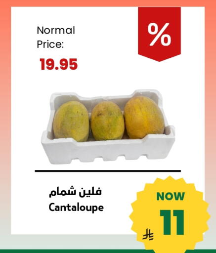 Cantaloupe available at Antara World in KSA, Saudi Arabia, Saudi - Khamis Mushait