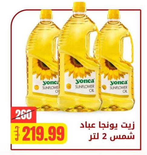 available at Allosh ElBazaar in Egypt - Cairo
