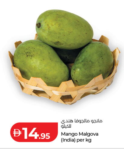 Mango from India available at Lulu Hypermarket in UAE - Dubai