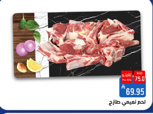 available at شبرا الطائف in مملكة العربية السعودية, السعودية, سعودية - الطائف