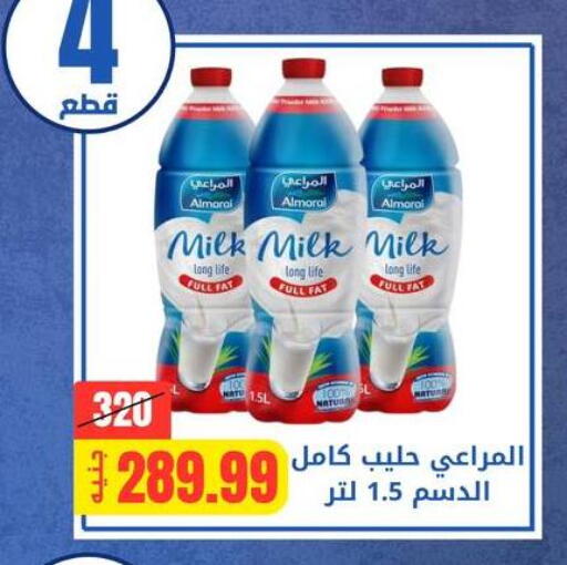 available at Allosh ElBazaar in Egypt - Cairo
