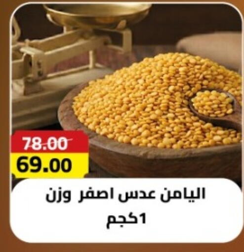 available at جراندي هايبر ماركت in Egypt - القاهرة