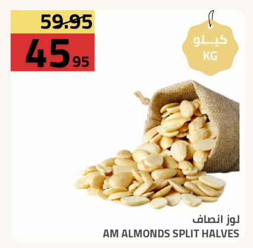 available at Astra Markets in KSA, Saudi Arabia, Saudi - Tabuk